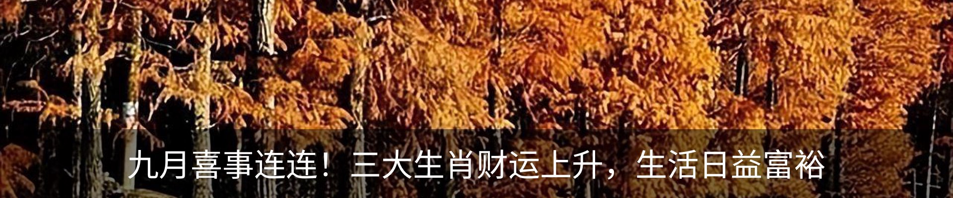 新闻动态