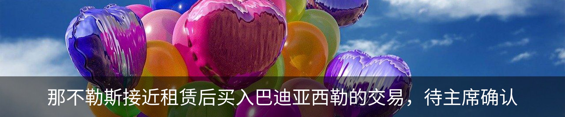 新闻动态